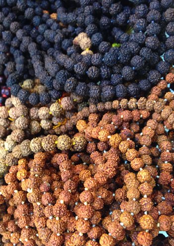 Graines de Rudraksha noires, blanches et rouges.